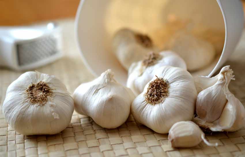 Is garlic good for a sore throat