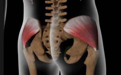 Gluteus Medius Pain Stretches