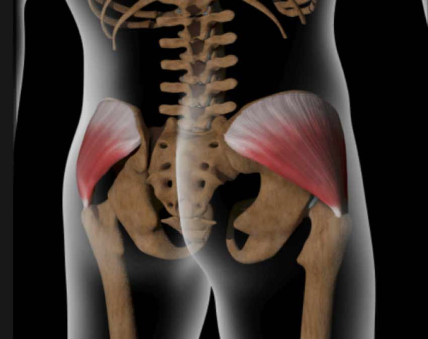 Gluteus Medius Pain Stretches