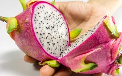 Dragon Fruit Laxative | Yellow dragon fruit laxative effect