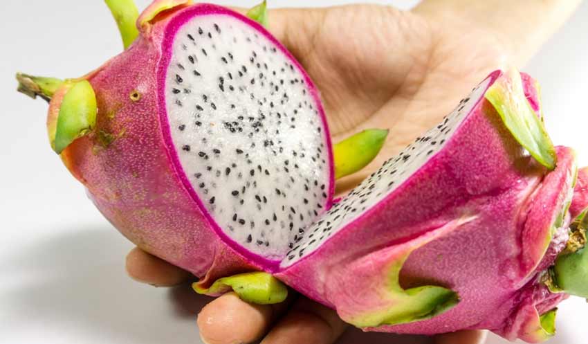 Dragon Fruit Laxative | Yellow dragon fruit laxative effect