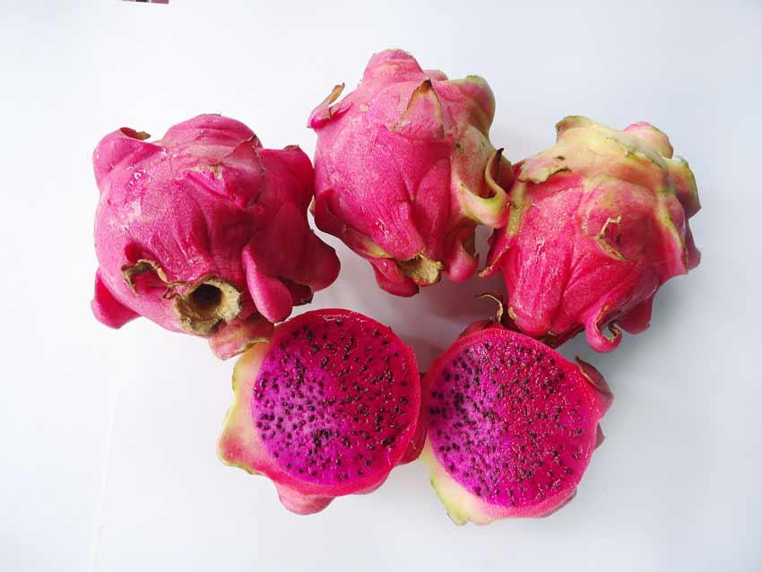 Dragon Fruit Laxative